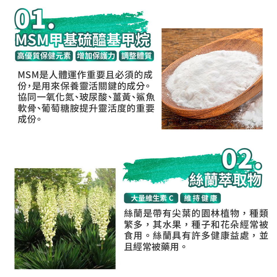 聚樂電商
