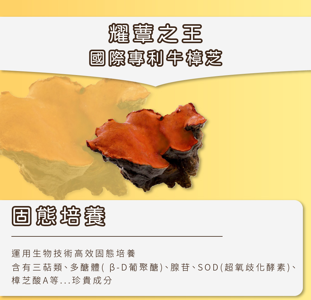 聚樂電商