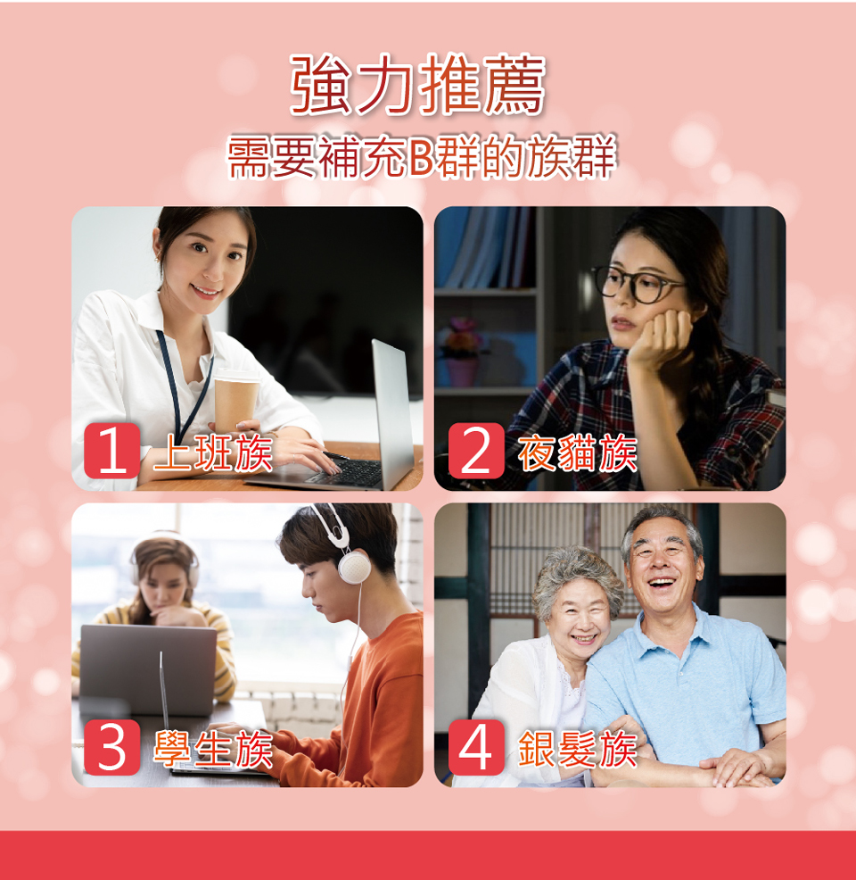 聚樂電商