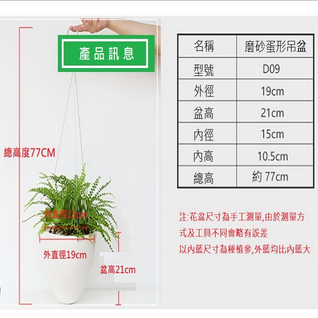 聚樂電商