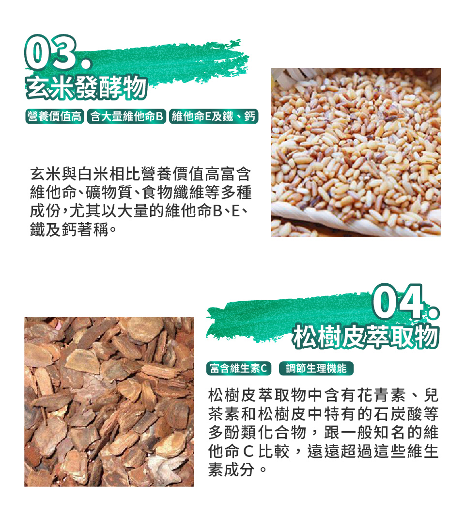 聚樂電商