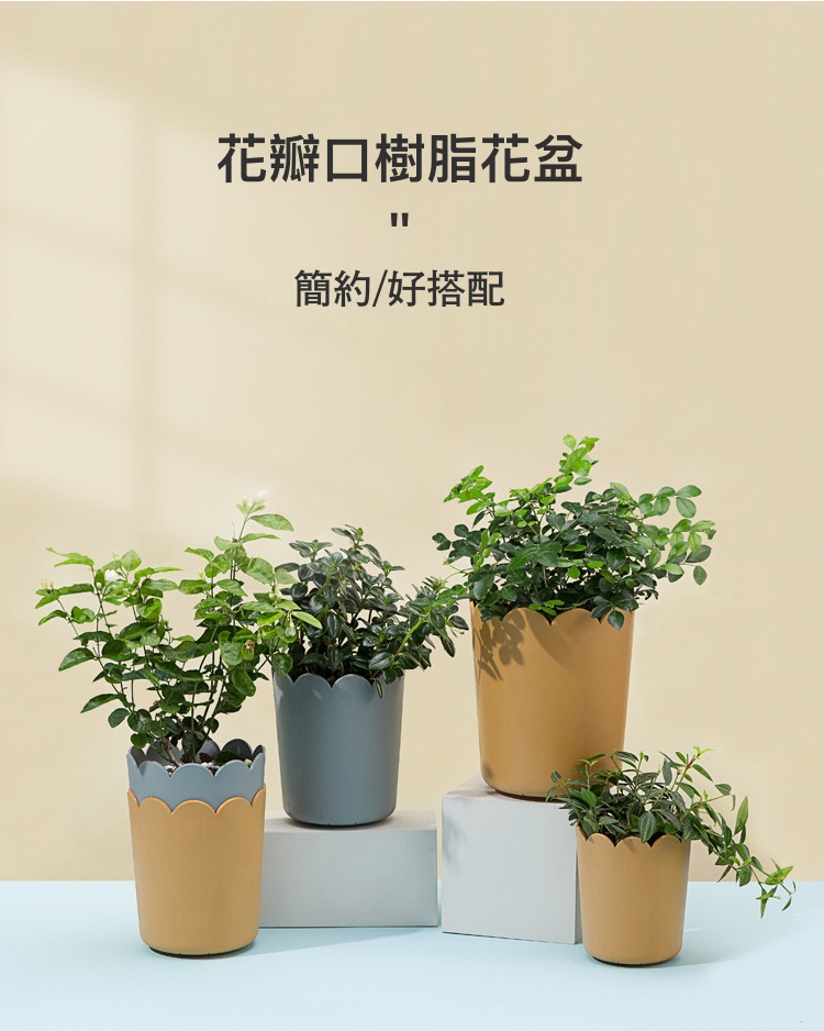 聚樂電商