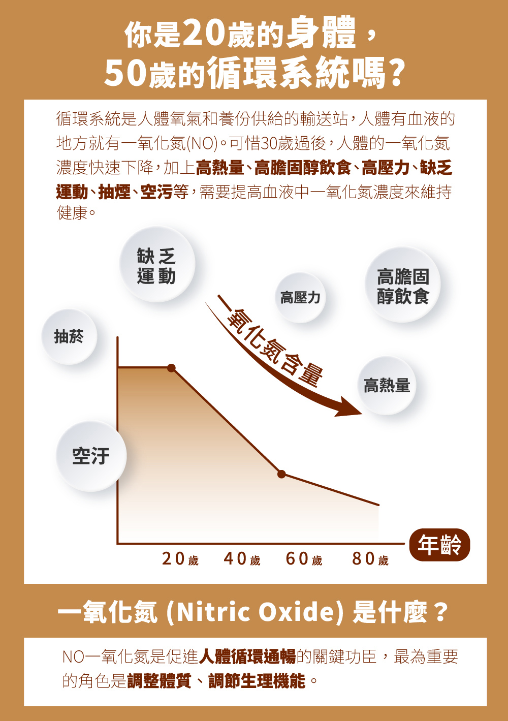 聚樂電商