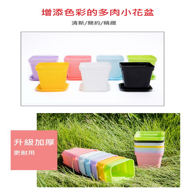 聚樂電商