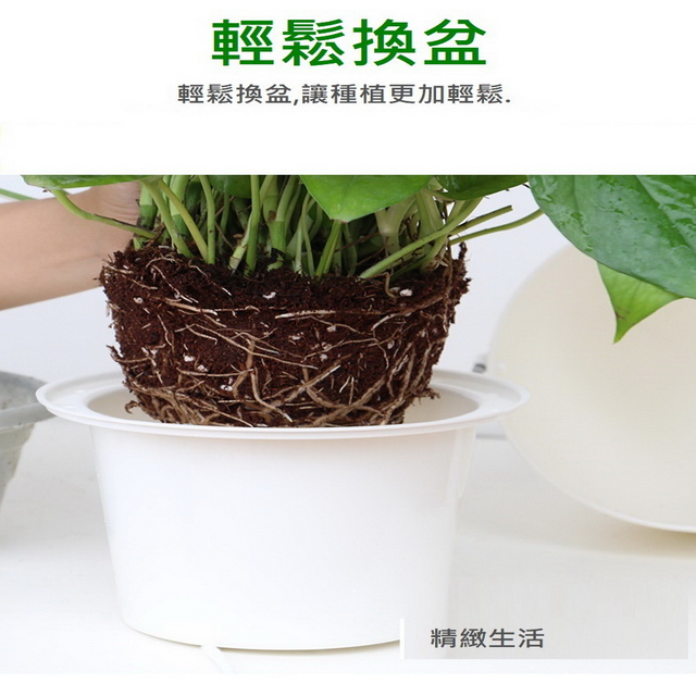 聚樂電商