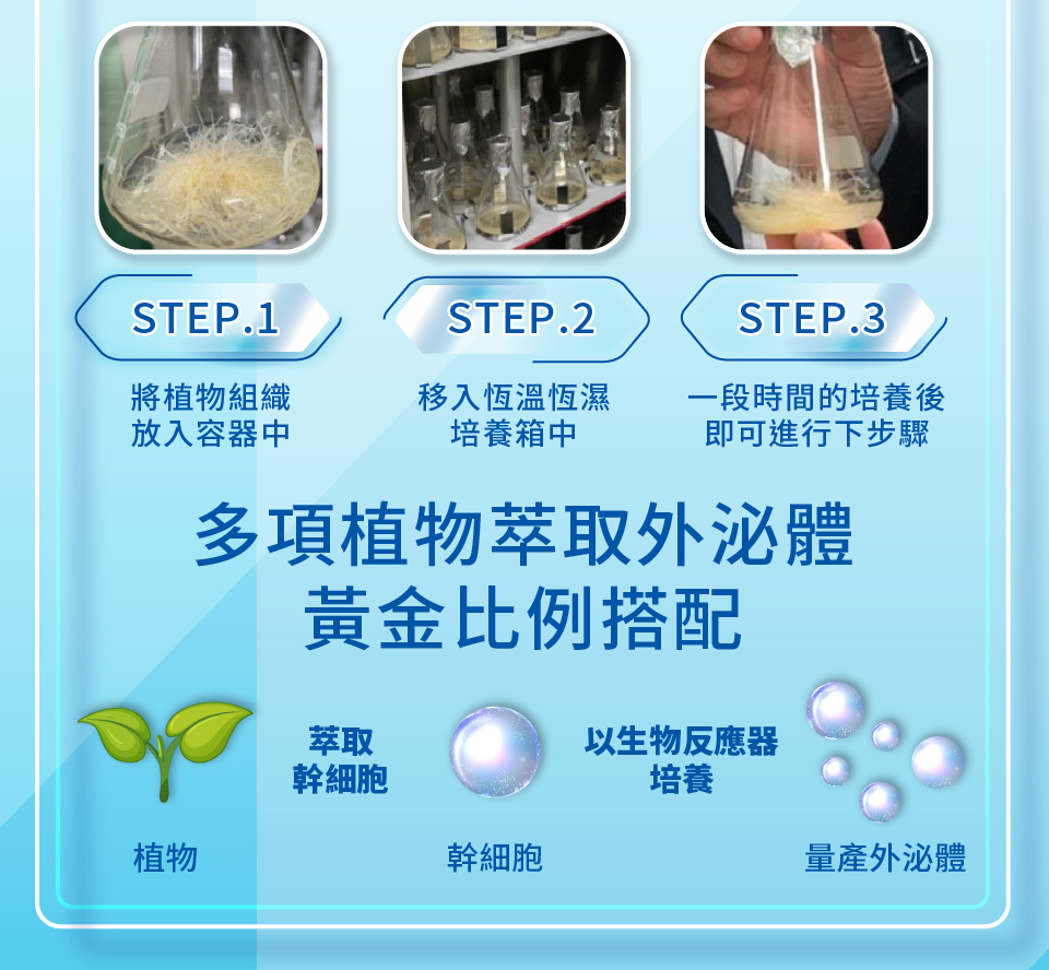聚樂電商