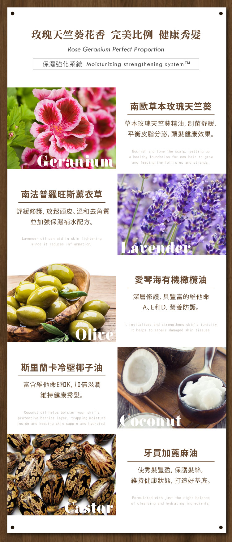 聚樂電商