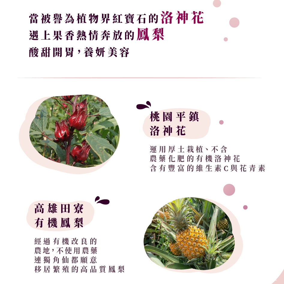 聚樂電商