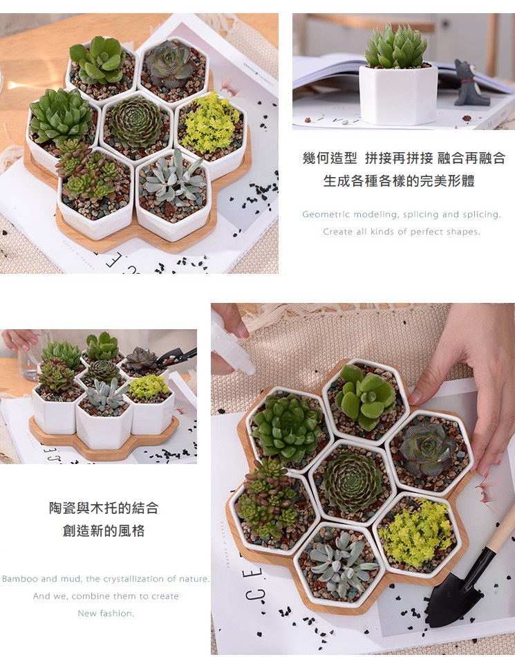 聚樂電商