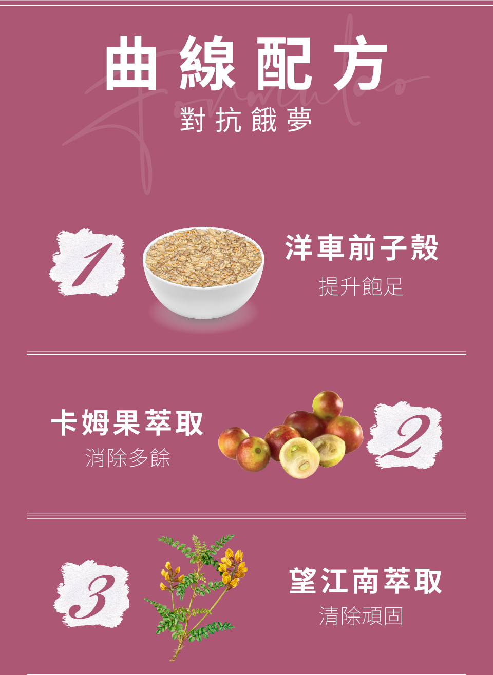 聚樂電商