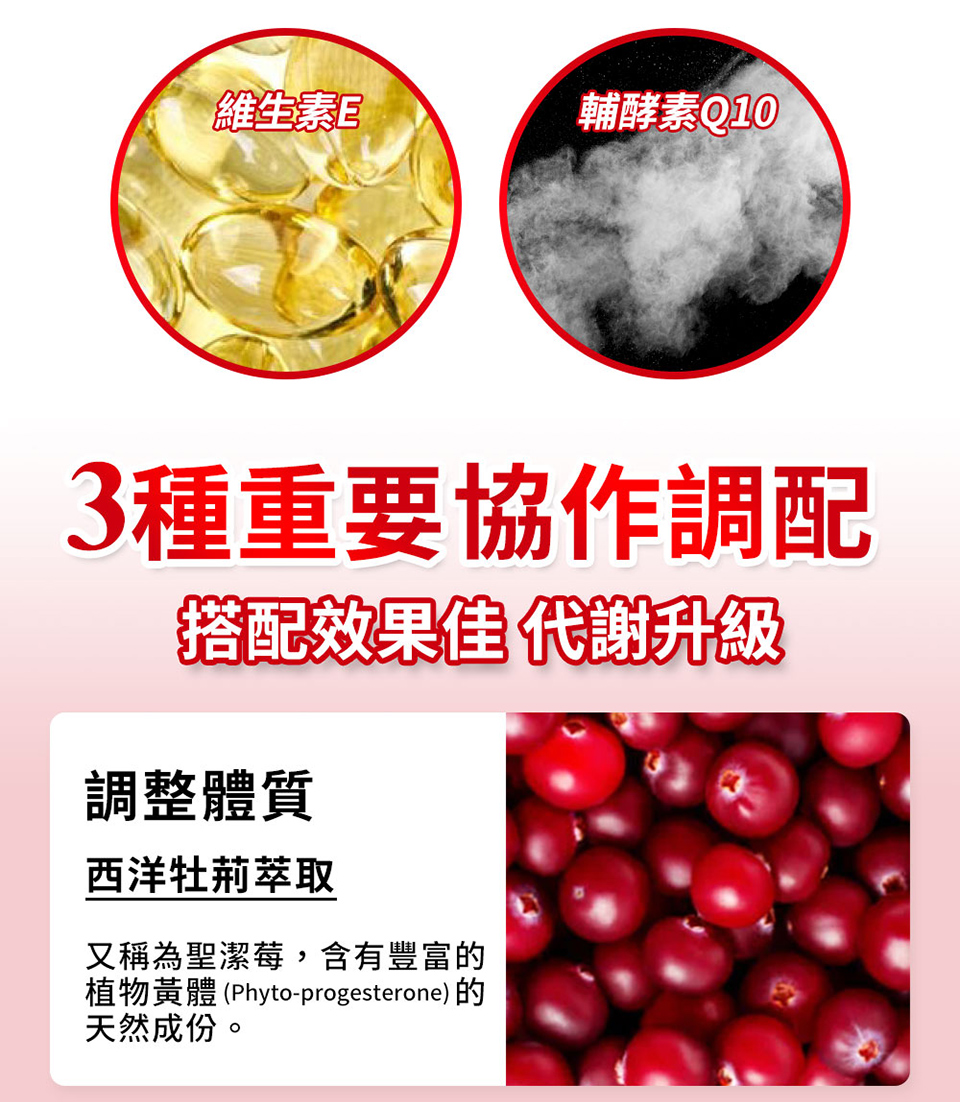 聚樂電商