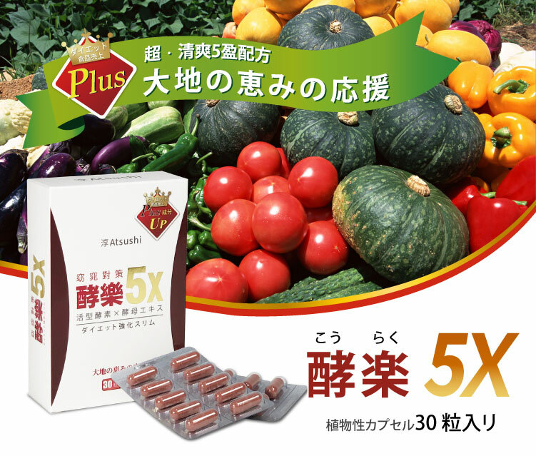 聚樂電商
