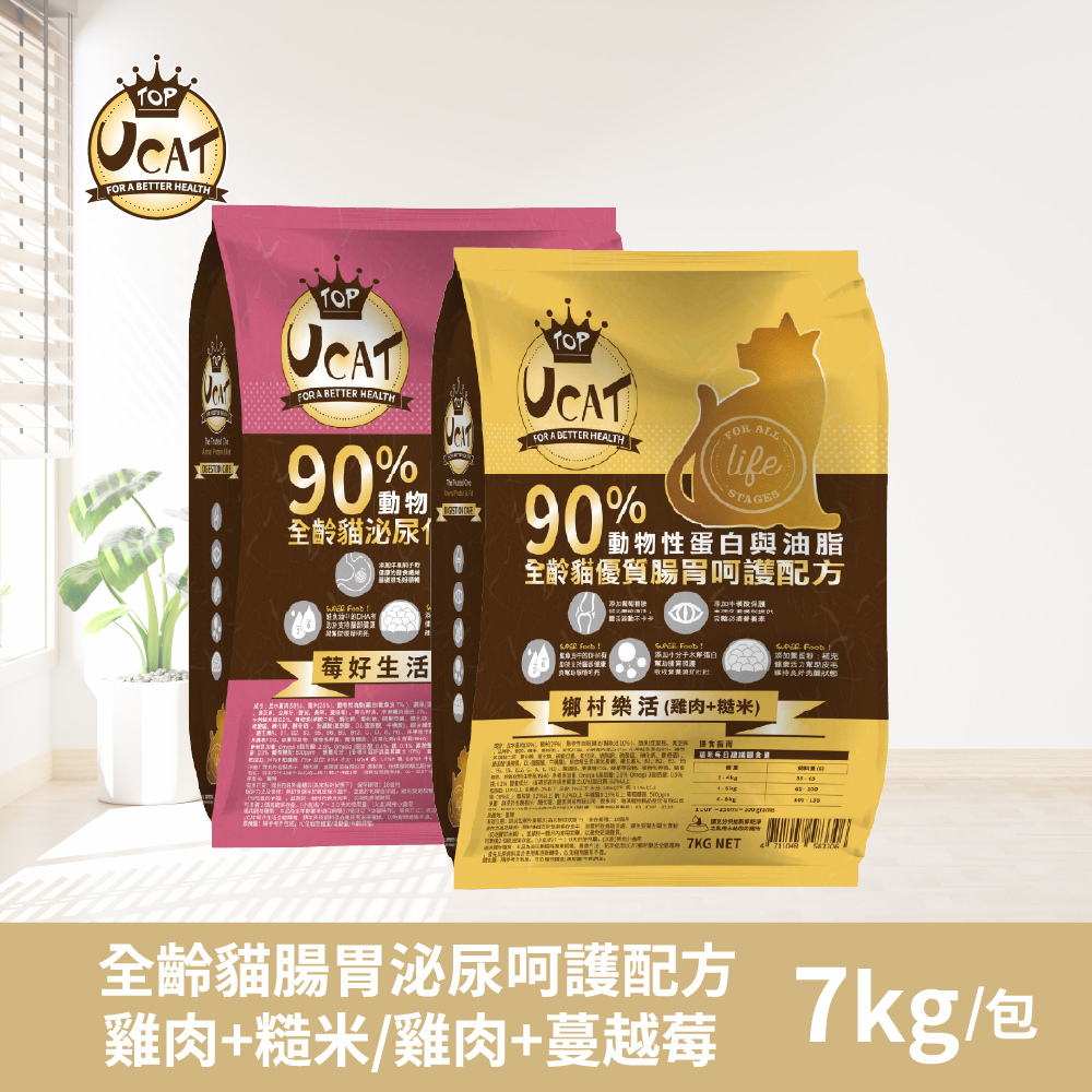 聚樂電商