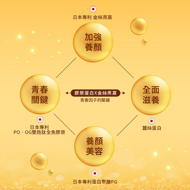 聚樂電商