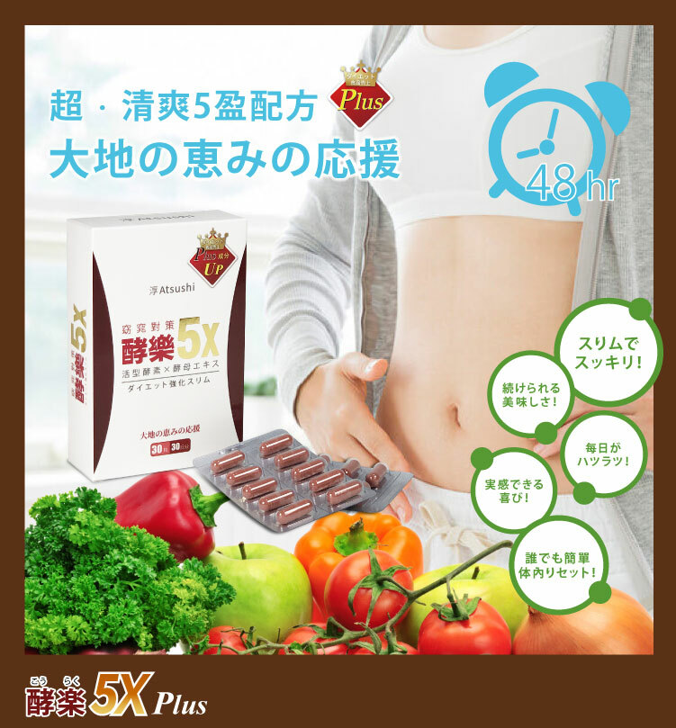 聚樂電商