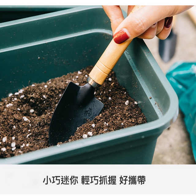 聚樂電商