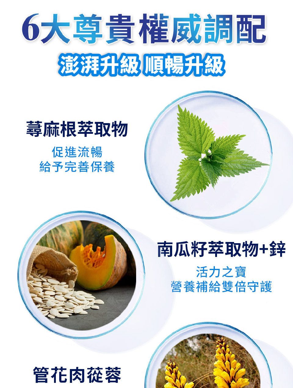 聚樂電商
