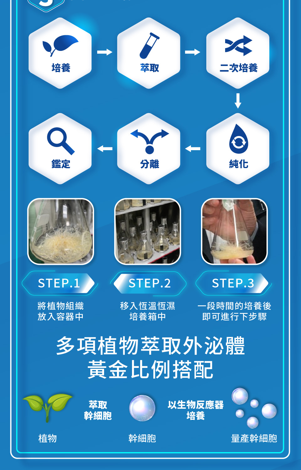 聚樂電商