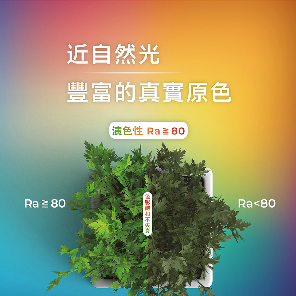 聚樂電商
