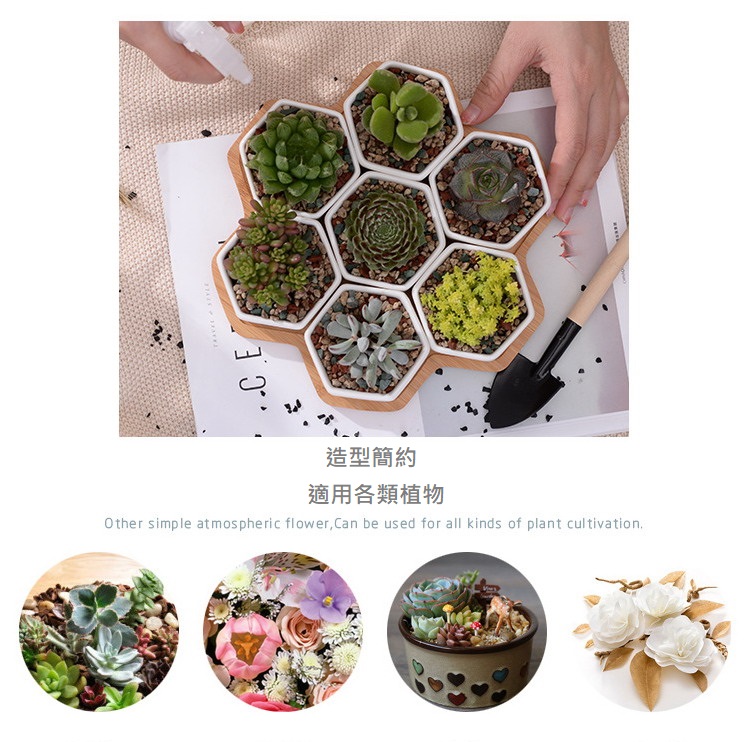 聚樂電商