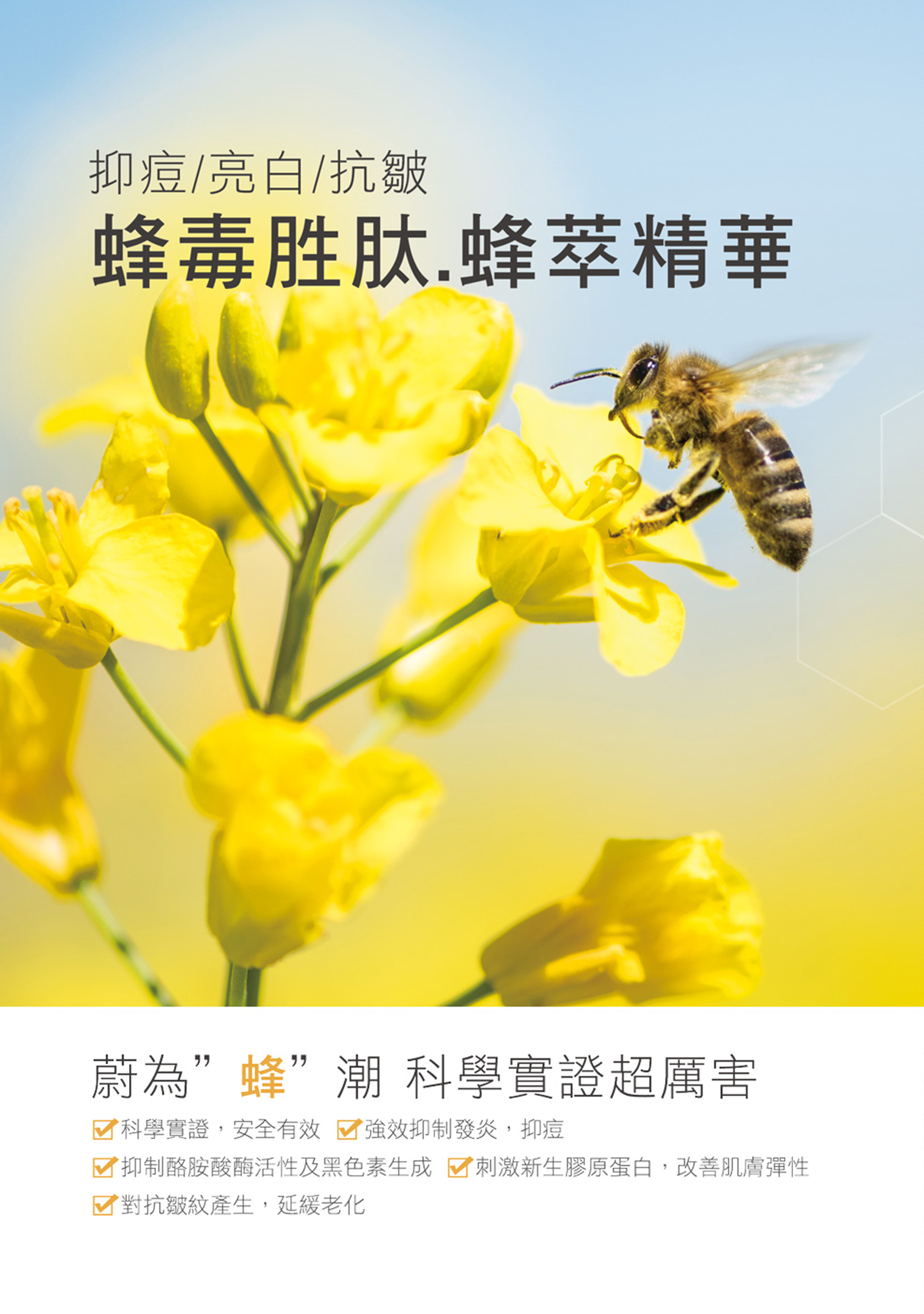 聚樂電商