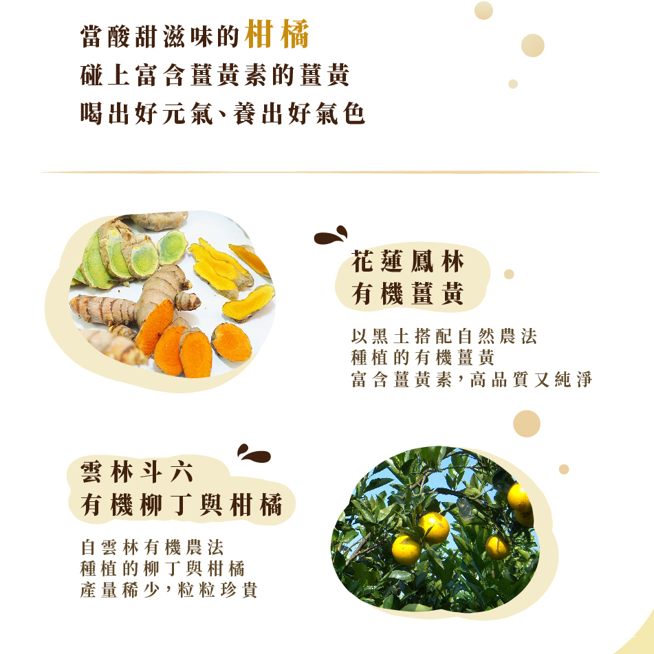 聚樂電商