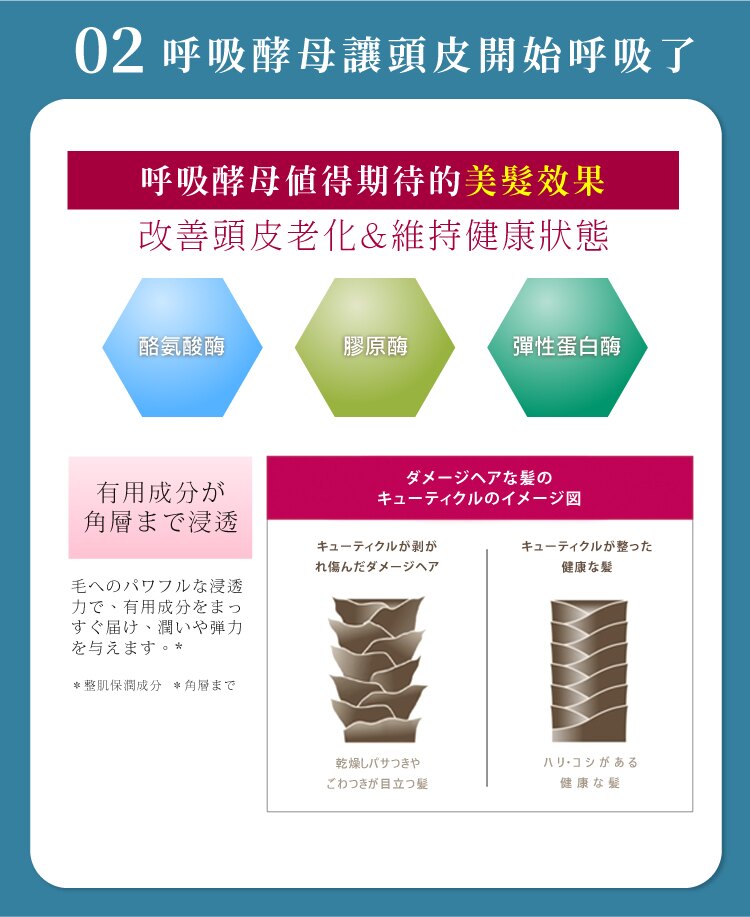 聚樂電商