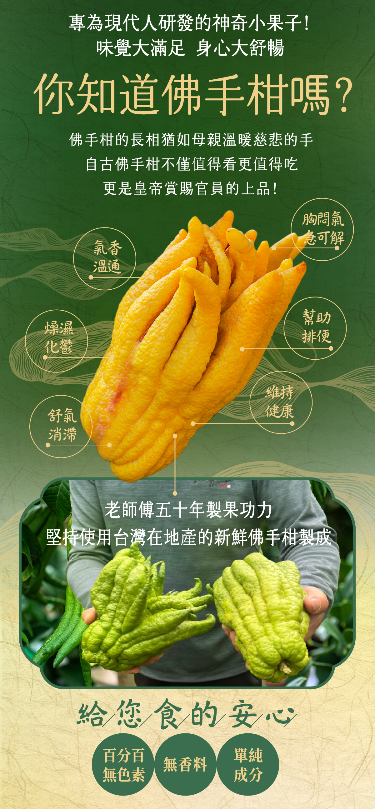 聚樂電商