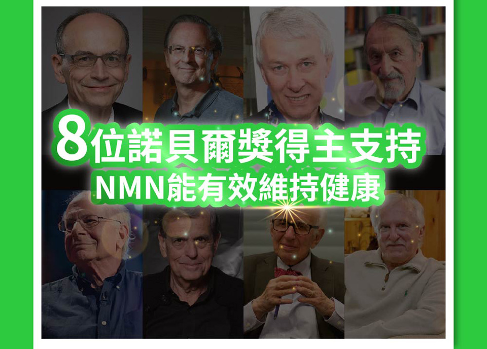 聚樂電商