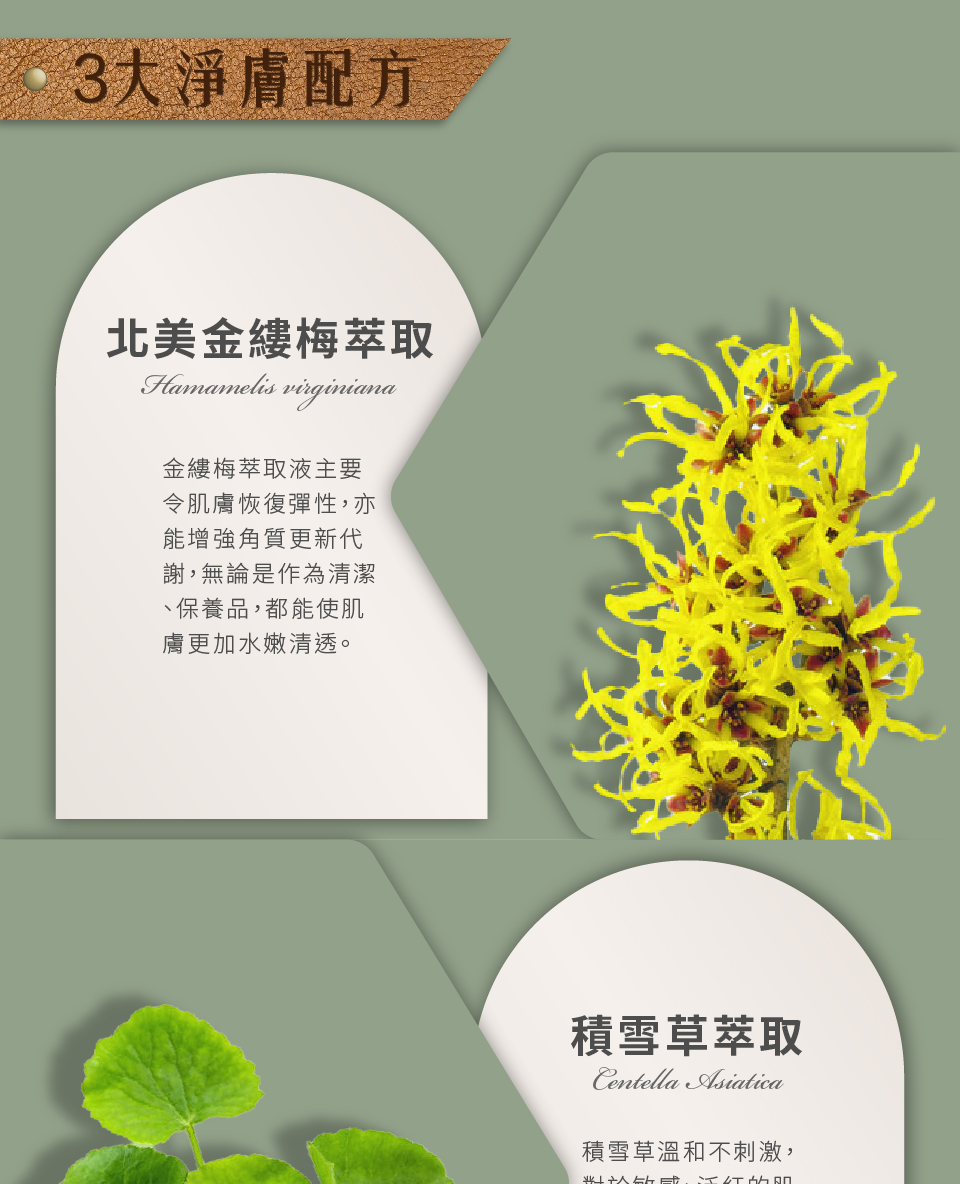 聚樂電商