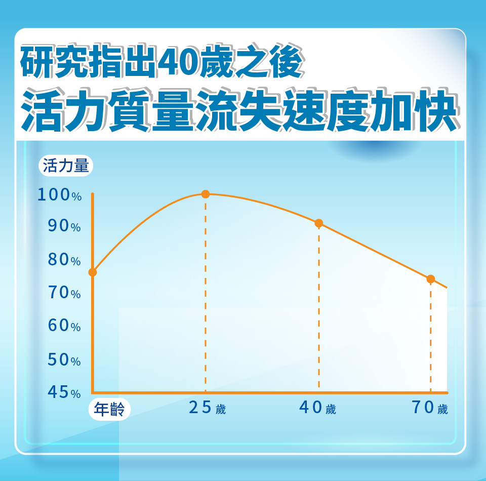 聚樂電商