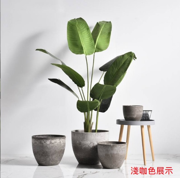 聚樂電商
