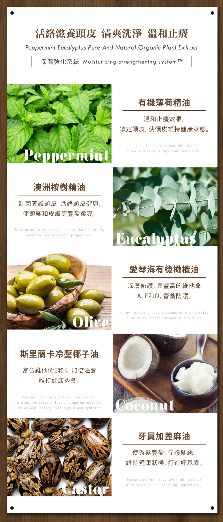 聚樂電商