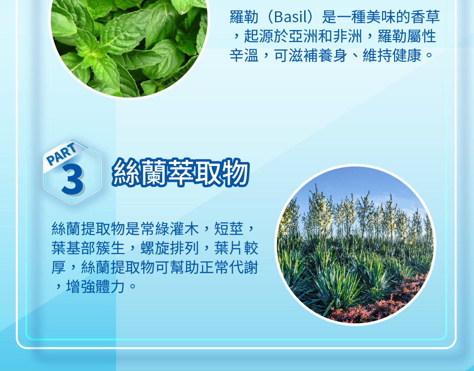 聚樂電商