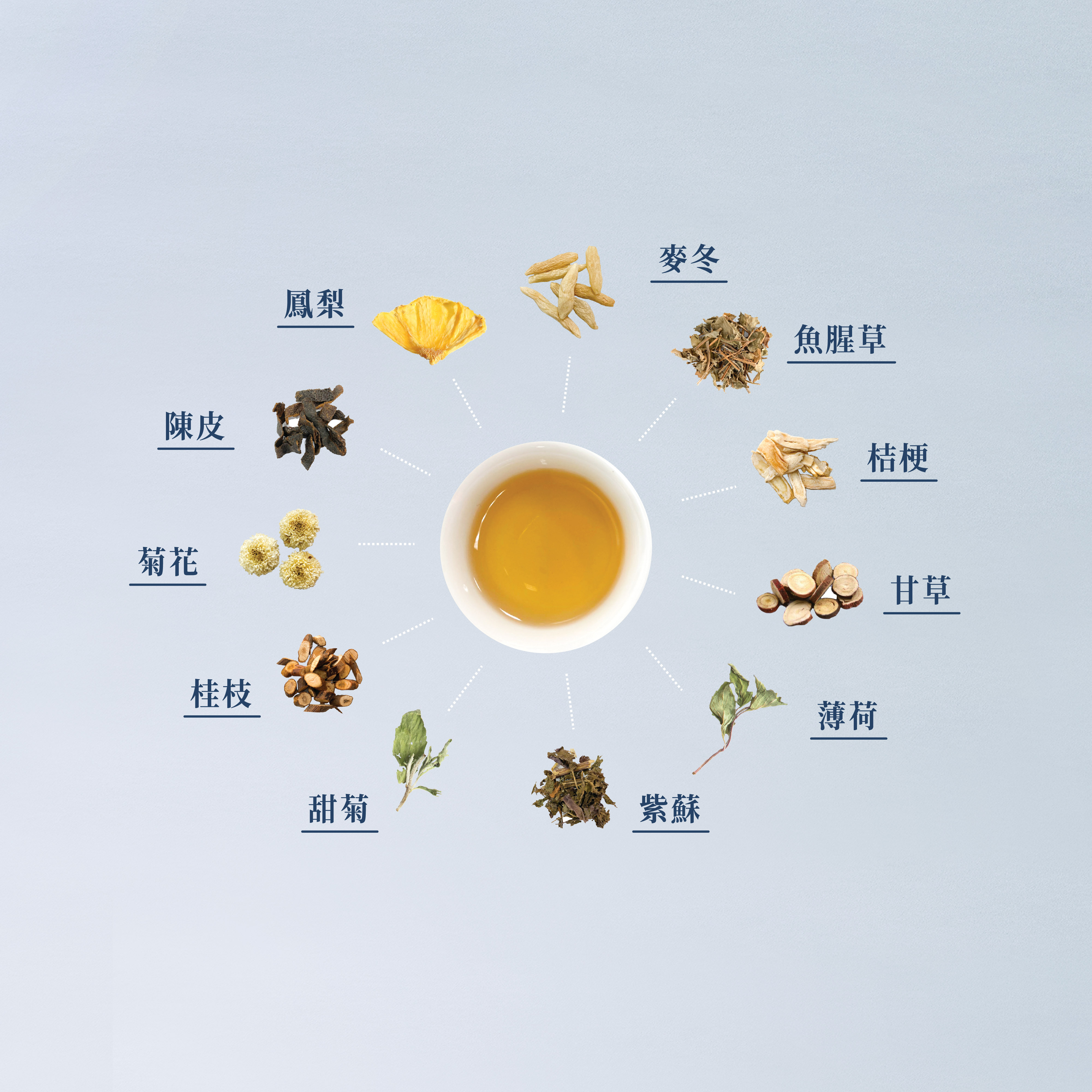 聚樂電商