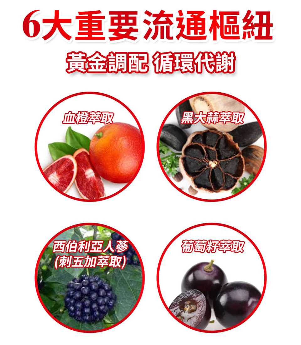 聚樂電商