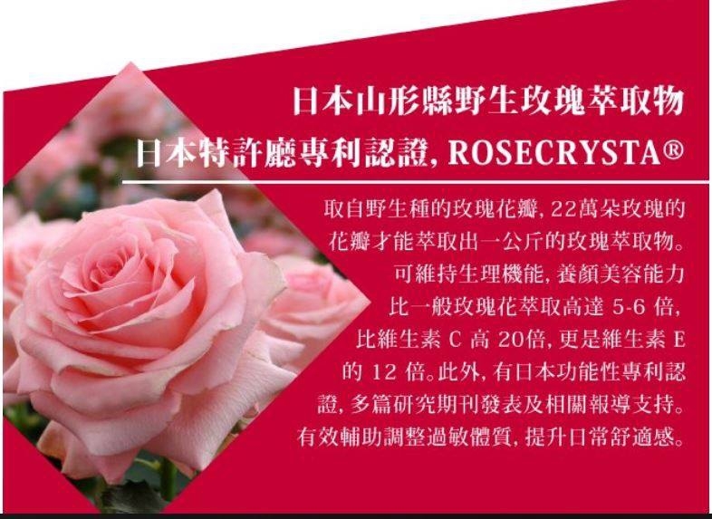 聚樂電商