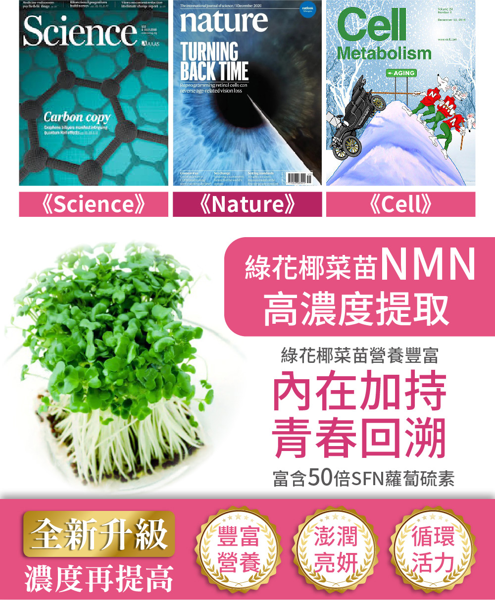聚樂電商