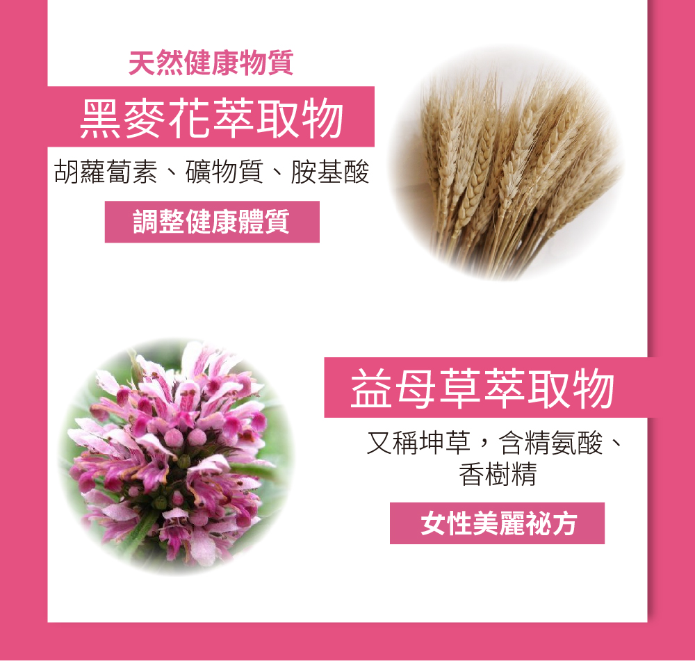聚樂電商