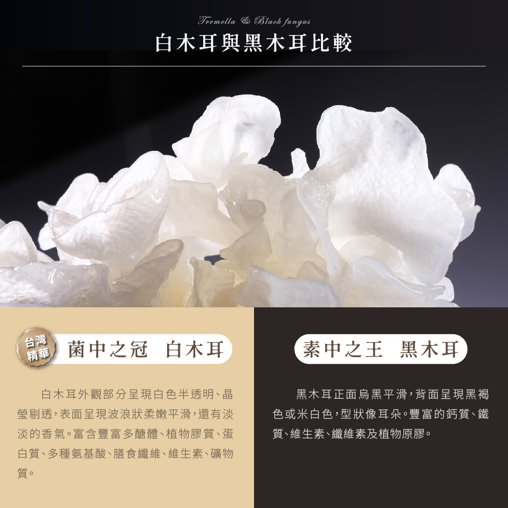 聚樂電商
