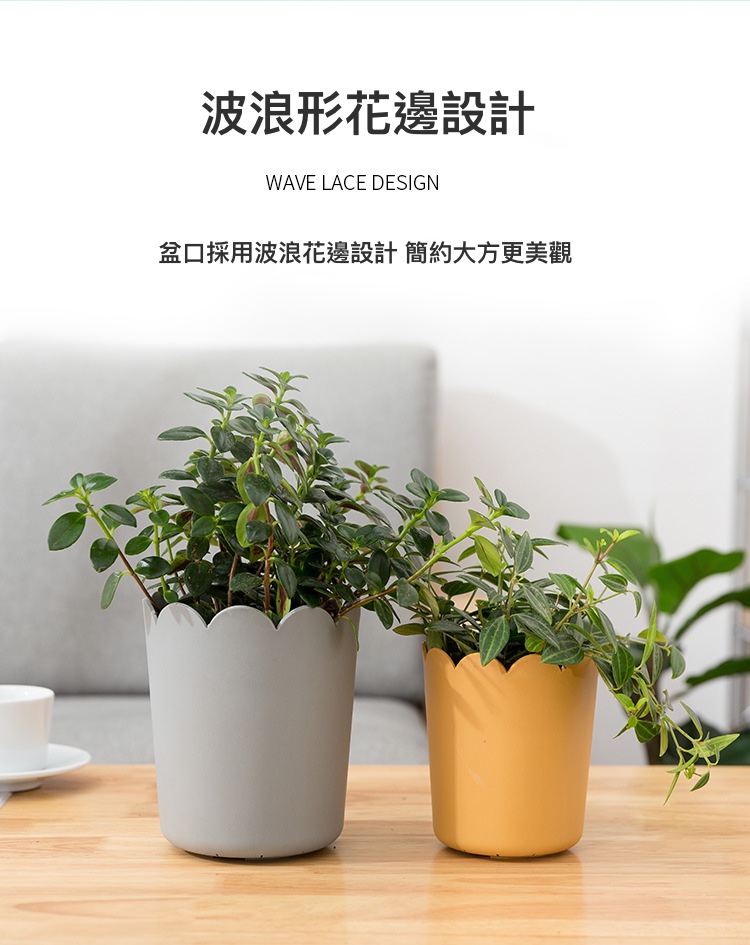 聚樂電商