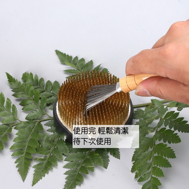聚樂電商