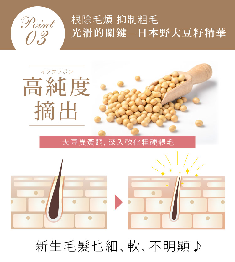 聚樂電商