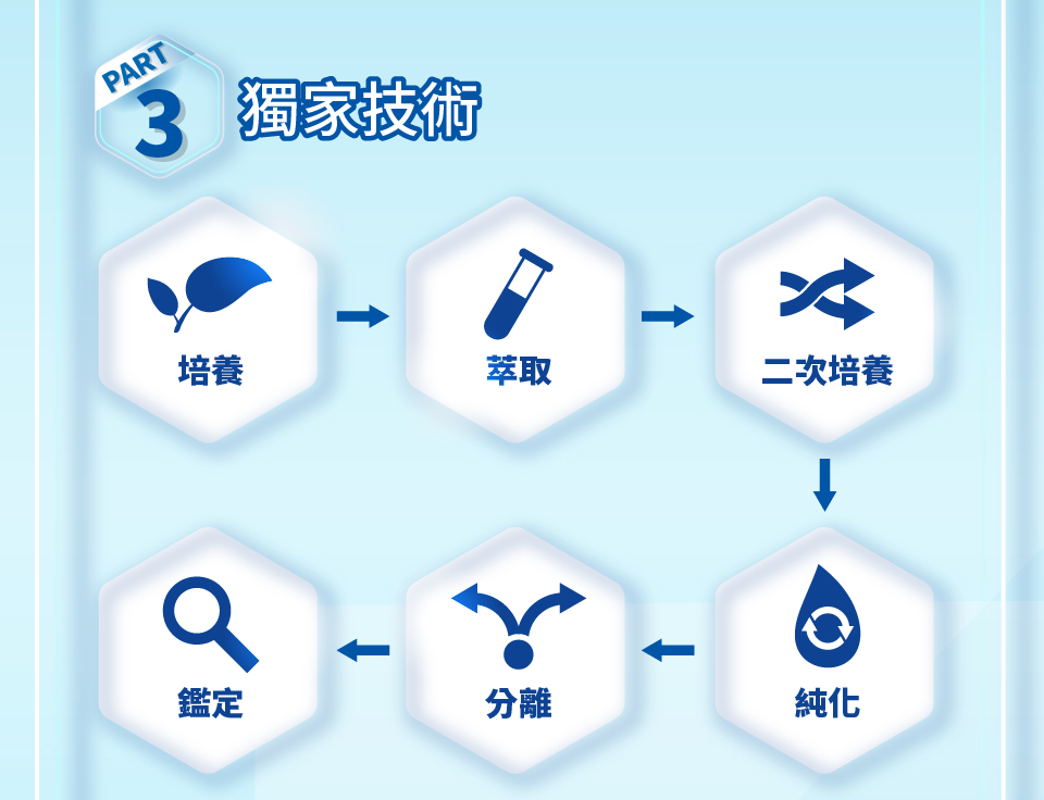 聚樂電商