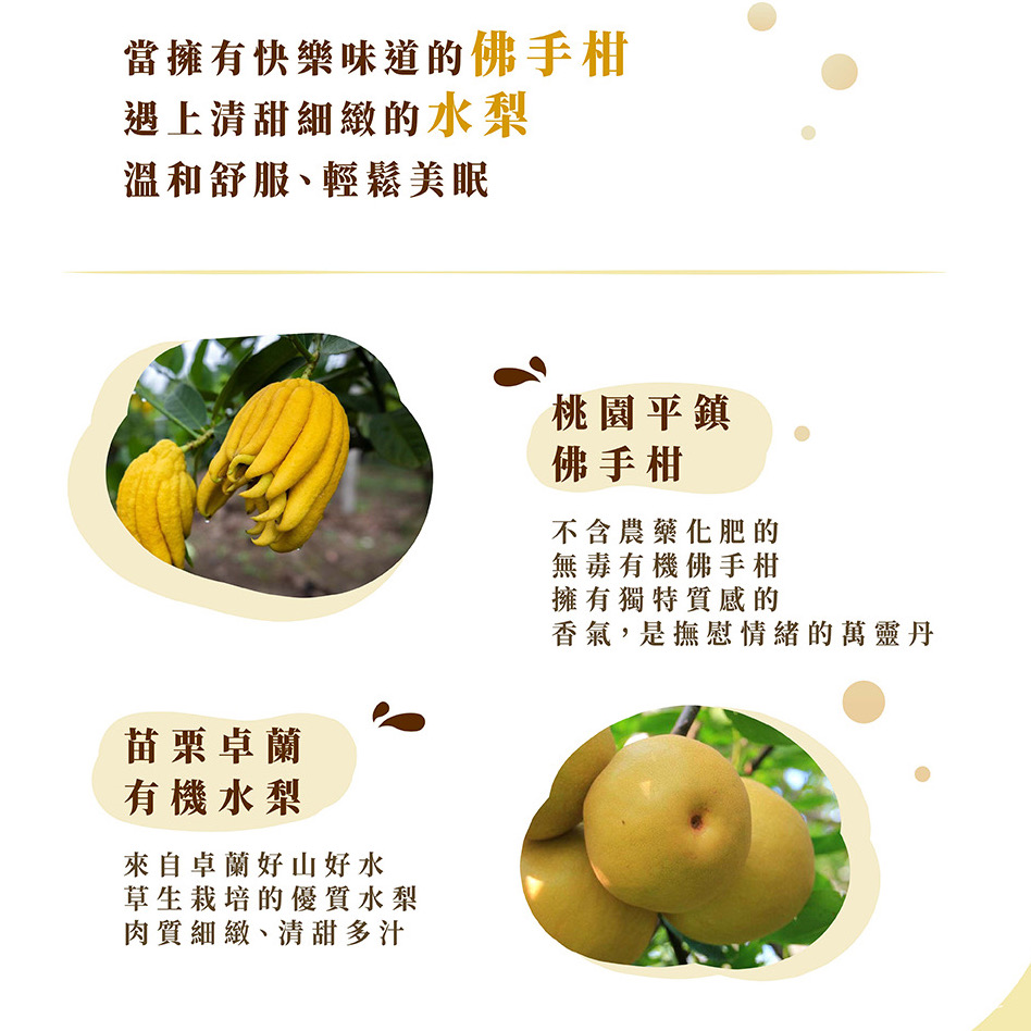 聚樂電商