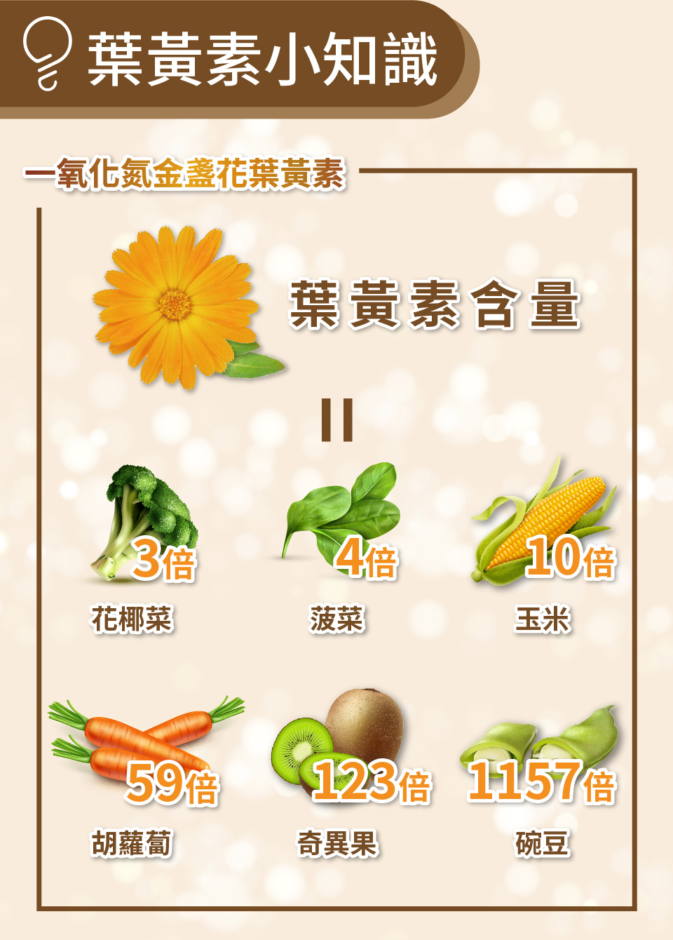 聚樂電商