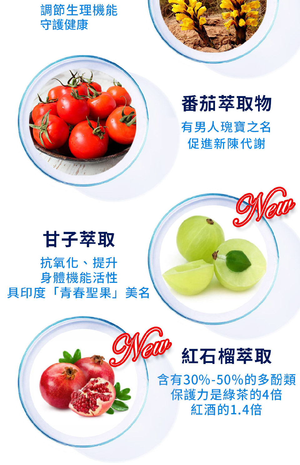 聚樂電商