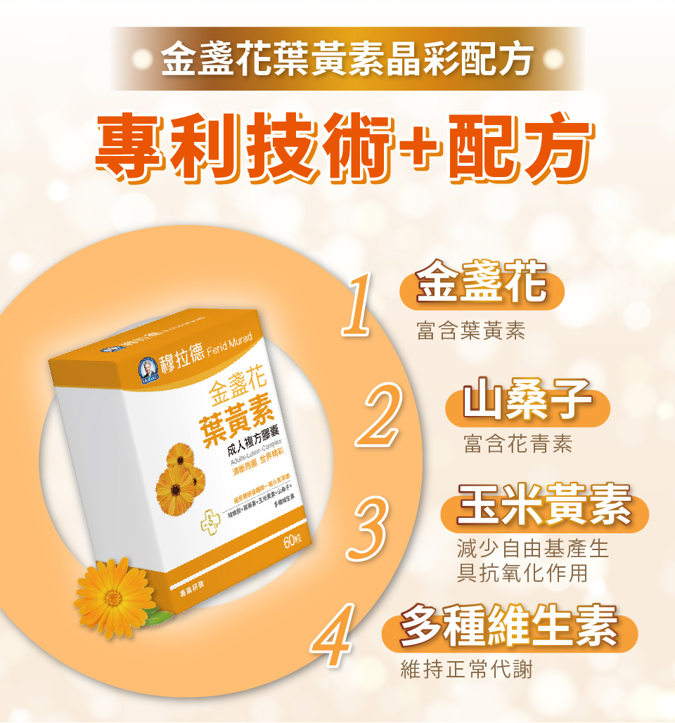 聚樂電商