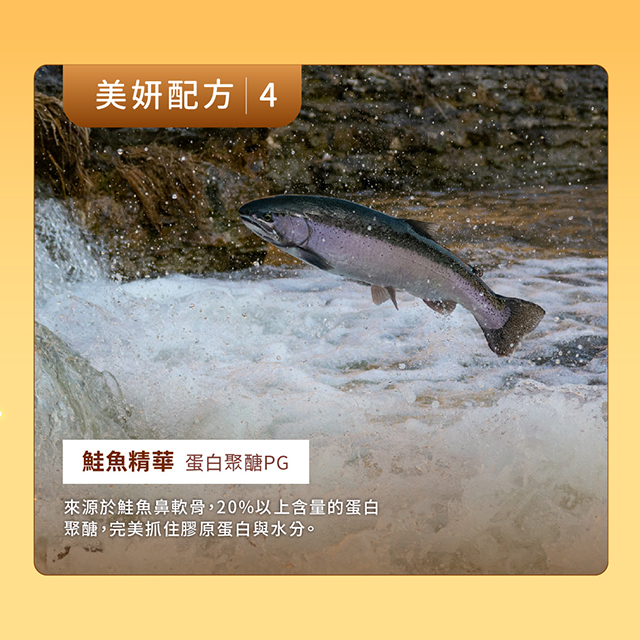 聚樂電商