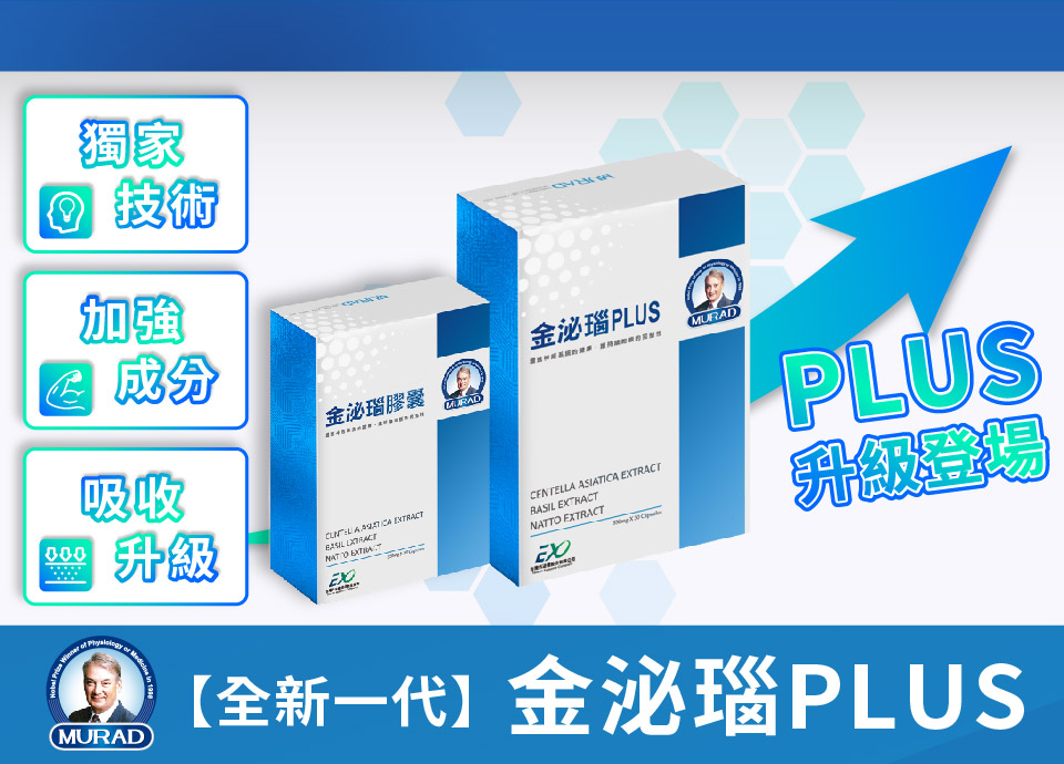 聚樂電商